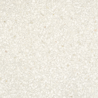 Shadow White